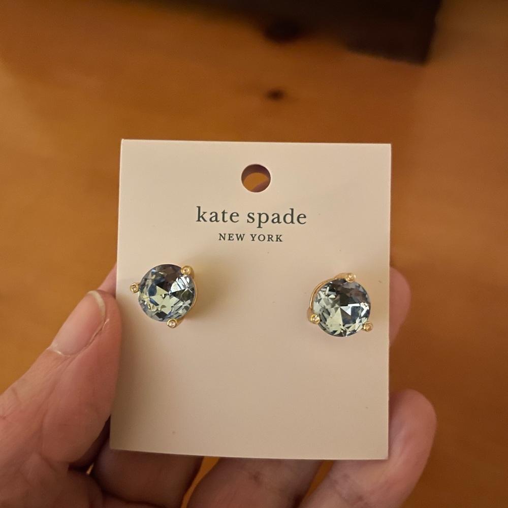 NWT Kate Spade Blue Gemstone Earrings